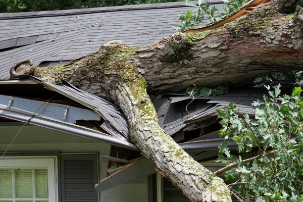 Storm Remediation in Kalamazoo