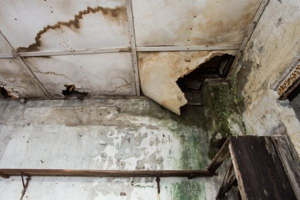 Water Damage Service in Kalamazoo
