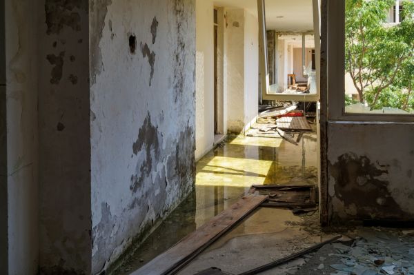 Cost of Water Removal Service in Kalamazoo