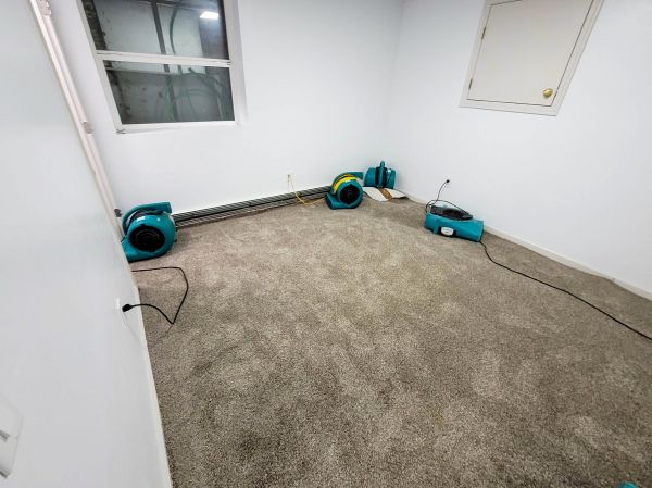 Flood Restoration Service in Kalamazoo