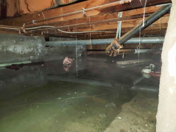 Water Mitigation Service in Kalamazoo