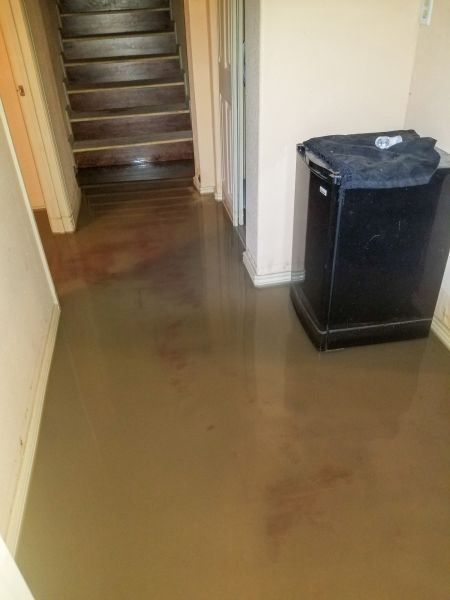 Cost of Emergency Water Removal in Kalamazoo