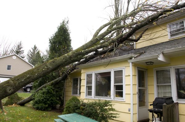 Hurricane Damage Repair in Kalamazoo
